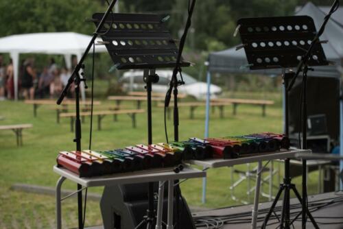 Koncert v zahradě 27