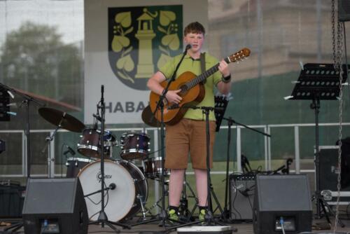 Koncert v zahradě 61